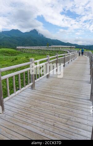 Blick auf den erhöhten Gehweg im Shiretoko Five Lakes 知床五湖 Nationalpark in Hokkaido, Japan Stockfoto