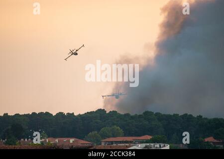 Zwei Canadairs im Einsatz in Anglet, Frankreich. Stockfoto