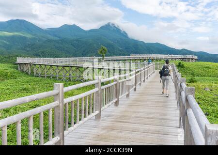 Blick auf den erhöhten Gehweg im Shiretoko Five Lakes 知床五湖 Nationalpark in Hokkaido, Japan Stockfoto