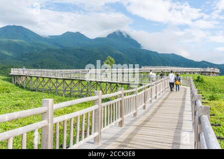 Blick auf den erhöhten Gehweg im Shiretoko Five Lakes 知床五湖 Nationalpark in Hokkaido, Japan Stockfoto