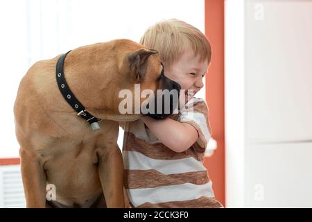 Fröhliche Kind Junge und Hund in der Liebe miteinander, freundliches Haustier liebt Junge, Spaß haben zusammen Stockfoto