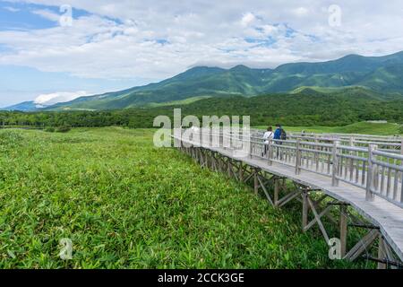 Blick auf den erhöhten Gehweg im Shiretoko Five Lakes 知床五湖 Nationalpark in Hokkaido, Japan Stockfoto