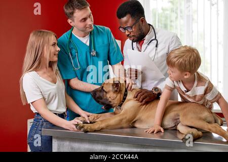 Netter Hund wird von selbstbewussten männlichen Tierarzt untersucht, seine gutaussehende freundliche Vormund ist in der Nähe. Health Care Konzept Stockfoto