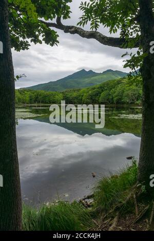 Blick auf Berge und Seen im Shiretoko Five Lakes National Park 知床五湖 in Hokkaido, Japan. Aufnahme im Sommer. Stockfoto