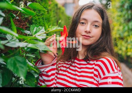 Nettes kleines Mädchen hält Hibiskus Blume wächst im Hinterhof Stockfoto