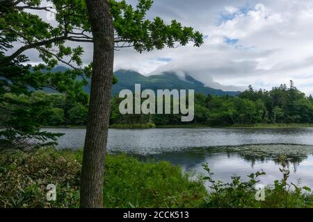 Blick auf Berge und Seen im Shiretoko Five Lakes National Park 知床五湖 in Hokkaido, Japan. Aufnahme im Sommer. Stockfoto