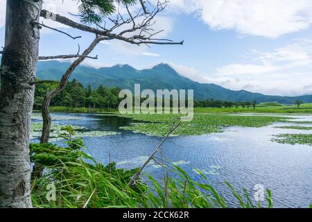 Blick auf Berge und Seen im Shiretoko Five Lakes National Park 知床五湖 in Hokkaido, Japan. Aufnahme im Sommer. Stockfoto