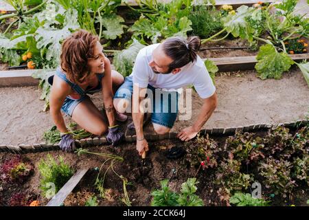 Lächelndes Paar, das sich beim Pflanzen im Gemüse ansieht Garten Stockfoto