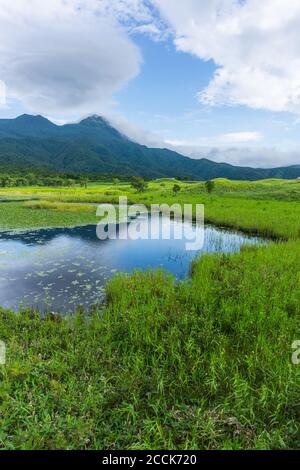 Blick auf Berge und Seen im Shiretoko Five Lakes National Park 知床五湖 in Hokkaido, Japan. Aufnahme im Sommer. Stockfoto