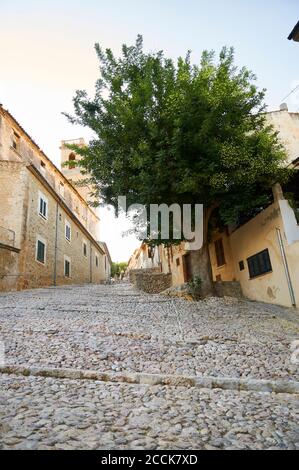 Carrer de les Creus gepflasterte Straße in der Nähe von Calvari Schritte in der Altstadt von Pollença (Pollensa, Mallorca, Balearen, Spanien) Stockfoto