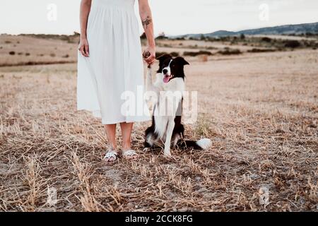 Frau mit Hund auf dem Feld während des Sonnenuntergangs Stockfoto