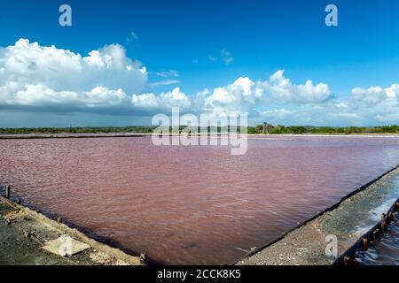 Salinas (Salinen) de Cabo Rojo, Cabo Rojo Puerto Rico Stockfoto