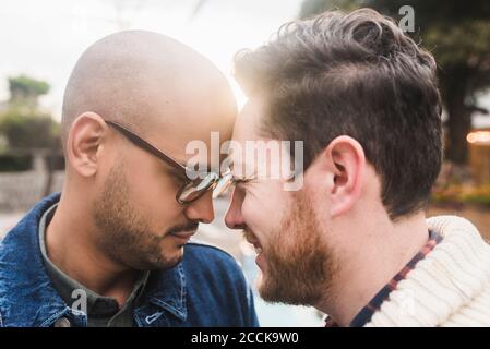 Nahaufnahme von romantischen Homosexuell Paar mit Kopf bis Kopf in parken Stockfoto