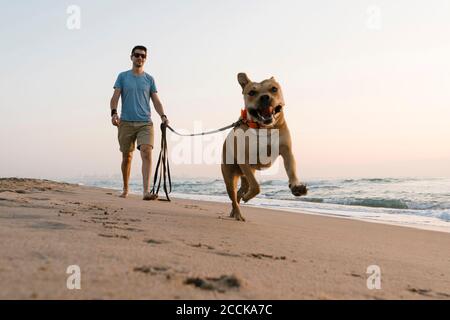 Mann mit seinem Hund läuft am Strand während der Dämmerung Stockfoto