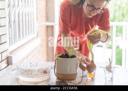 Mittlere Erwachsene Frau Pflanzen verschiedene Lebensmittel auf dem Tisch im Balkon Stockfoto