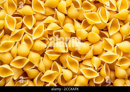 Bunte italienische Pasta conchiglie abstrakte Kulisse. Traditionelles Essen. Textur. Stockfoto