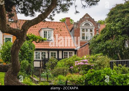 Dänemark, Süddänemark, Aeroskobing, Blumen blühen im Vorgarten des traditionellen dänischen Hauses Stockfoto