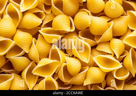 Bunte italienische Pasta conchiglie abstrakte Kulisse. Traditionelles Essen. Textur. Stockfoto