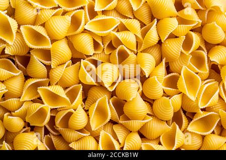 Bunte italienische Pasta conchiglie abstrakte Kulisse. Traditionelles Essen. Textur. Stockfoto