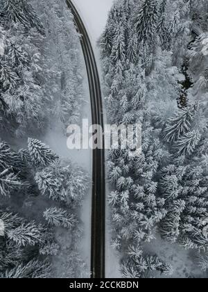 Luftaufnahme der leeren Asphaltstraße, die durch schneebedeckten Wald schneidet In Achtal Stockfoto