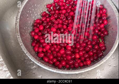 Cornelian Kirschen (Cornus Mas) werden in Metallschale gewaschen Stockfoto