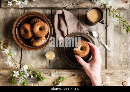 Handgriff nach hausgemachtem Donut mit Zucker und Zimt Stockfoto