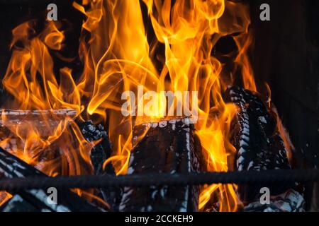 Nahaufnahme eines brennenden Lagerfeuers in Orange und Gelb Die Farben auf den hölzernen verkohlten Stämmen im Brazier hinter dem Metall Vor dem Kochen einen Schischebab anmachen Stockfoto