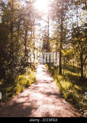 Wanderweg in der Mitte des Waldes umgeben von Farbe Schöne orange Herbstblätter in göteborg schweden Stockfoto