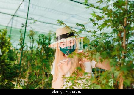 Weibliche Besitzerin trägt Maske und Hut Untersuchung Pflanze im Gewächshaus Stockfoto