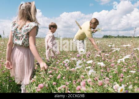 Vater mit Kindern, die während der Ernte Kamillen auf dem Feld gegen den Himmel Sonniger Tag Stockfoto