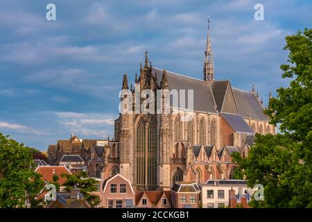 Niederlande, Südholland, Leiden, Hooglandse Kerk Kathedrale Stockfoto