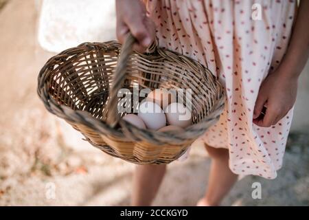 Mädchen hält Weidenkorb mit Eiern in Hühnerfarm Stockfoto