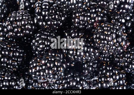 Brombeeren Hintergrund. Hintergrund der Brombeerfrucht. Textur von Brombeere.. Makro Schuss frische saftige Brombeere Muster Stockfoto