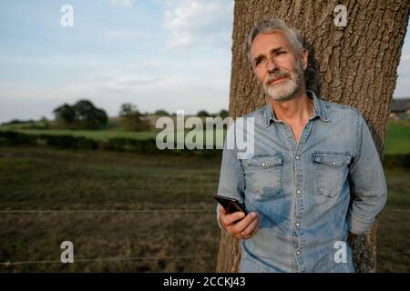 Reifer Mann mit Smartphone lehnt sich an einen Baumstamm in Die Landschaft Stockfoto