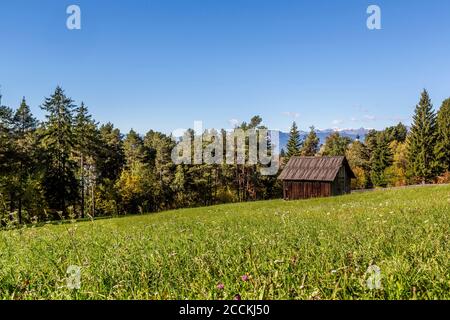 Italien, Ritten, Holzgebäude im Grasfeld Stockfoto