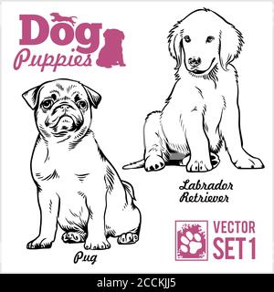Mops und Labrador Retriever - Hund Welpen. Vektorset. Lustige Hunde Welpen Haustier Zeichen verschiedene Brote doggy Illustration isoliert auf weiß. Stock Vektor