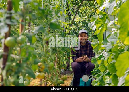 Porträt eines lächelnden Bauern mit Handy und Gießkanne Im Gewächshaus mit Tomatenpflanzen Stockfoto