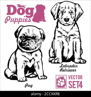 Mops und Labrador Retriever - Hund Welpen. Vektorset. Lustige Hunde Welpen Haustier Zeichen verschiedene Brote doggy Illustration isoliert auf weiß. Stock Vektor