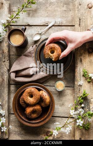 Handgriff nach hausgemachtem Donut mit Zucker und Zimt Stockfoto