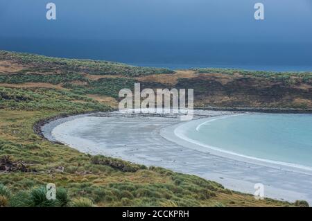 Großbritannien, Falklandinseln, Bucht von Carcass Island Stockfoto