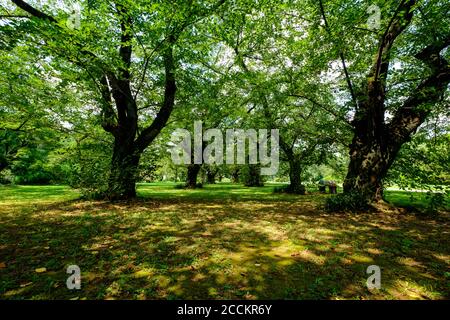 Der entspannende Ort Stockfoto