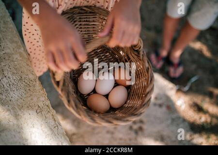 Mädchen hält Korb mit Eiern in Hühnerfarm Stockfoto