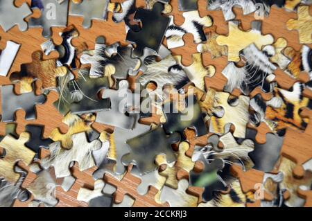 Unassembliert Puzzle Konzept Idee Problem Spiel Strategie Puzzle. Fehlende Passung Freizeit verbinden Stockfoto