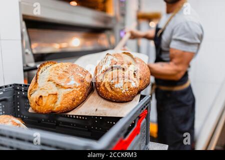 Bäcker mit gebackenem Brot auf Holzblech bei der Bäckerei Stockfoto