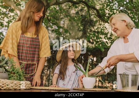 Multi-Generation-Familie Gartenarbeit auf dem Tisch im Hof Stockfoto