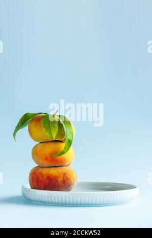Stapel von drei gelben flachen Pfirsichen (Donut oder Saturn Peach, Prunus persica var. platycarpa) auf der Platte auf blauem Hintergrund. Speicherplatz kopieren. Stockfoto