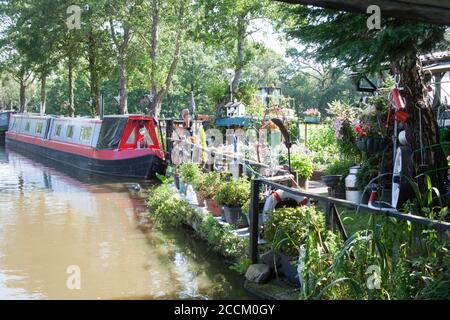 Fest vertäutes schmales Boot und Garten auf dem Macclesfield Kanal Höher Poynton Cheshire England Stockfoto