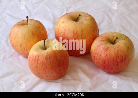 Frische saftige Äpfel auf einer weißen Serviette Stockfoto