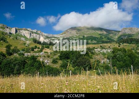 Bazgiret (Maden) Dorf in Artvin Şavşat Stockfoto