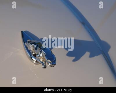 Seitlich beleuchtete Jaguar Haube Ornament und markanten Schatten mit poliertem Chrom und blendenden Highlights. Der Leaper ist der berühmte Jaguar Maskottchen Name. Stockfoto